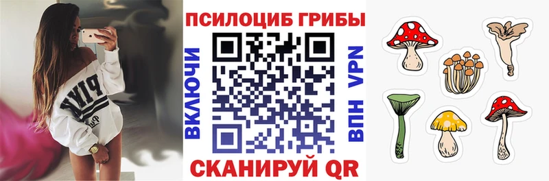 KRAKEN зеркало Аша Псилоцибиновые грибы мухоморы